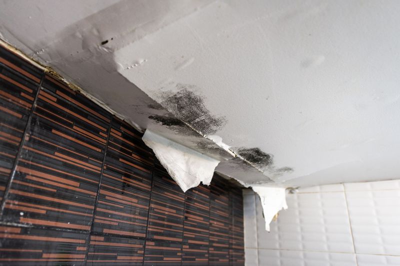 Water Damage Ceiling Repair in Conroe, TX