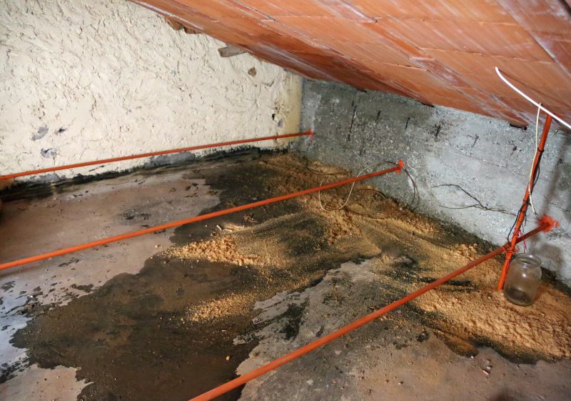 Ceiling Leak Repair Service in Alpharetta, GA
