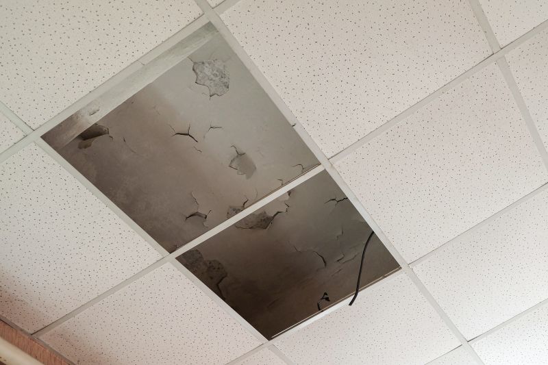 Ceiling Removal Service in Denver, CO
