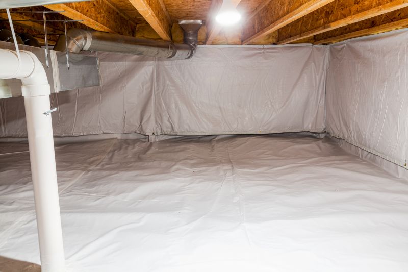 Crawl Space Remediation in Katy, TX