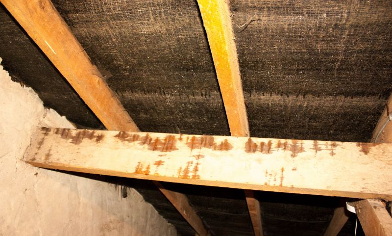 House Restoration in Katy, TX