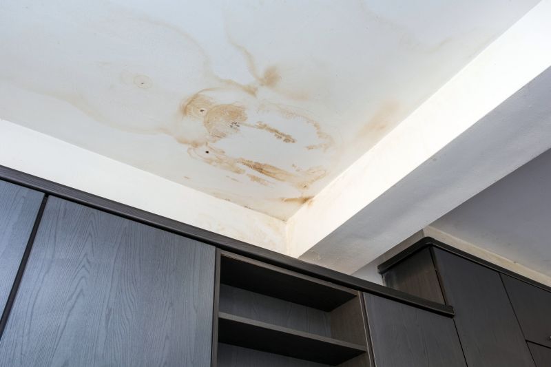 Leaking Ceiling Repair in Conroe, TX