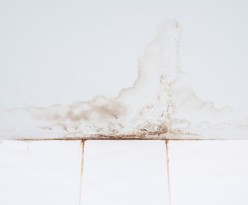 Water Damage Ceiling Repair in Charleston, SC